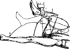 Dislocations: figure 16 from the 1928–1936 encyclopedia article