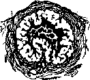 Ovulation: figure 5 from the 1928–1936 encyclopedia article