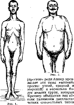 Constitution: figure 1 from the 1928–1936 encyclopedia article