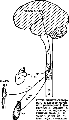 Visceral Reflexes: figure 1 from the 1928–1936 encyclopedia article