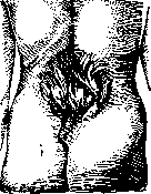 Spina Bifida: figure 14 from the 1928–1936 encyclopedia article