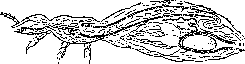 Vectors: figure 6 from the 1928–1936 encyclopedia article