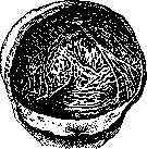 Urinary Bladder: figure 13 from the 1928–1936 encyclopedia article