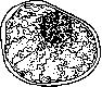 Cell: figure 2 from the 1928–1936 encyclopedia article