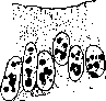Cell: figure 6 from the 1928–1936 encyclopedia article