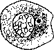Cell: figure 11 from the 1928–1936 encyclopedia article