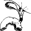 Gallbladder: figure 15 from the 1928–1936 encyclopedia article