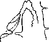 Gallbladder: figure 36 from the 1928–1936 encyclopedia article