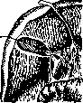 Gallbladder: figure 50 from the 1928–1936 encyclopedia article