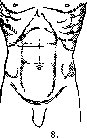 Gallbladder: figure 47 from the 1928–1936 encyclopedia article