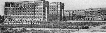 Mayo: figure 1 from the 1928–1936 encyclopedia article