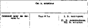 Human Nerves: figure 3 from the 1928–1936 encyclopedia article
