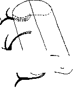 Spinelli: figure 2 from the 1928–1936 encyclopedia article