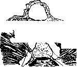 Spinelli: figure 1 from the 1928–1936 encyclopedia article