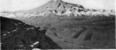 Caucasian Mineral Waters: figure 1 from the 1928–1936 encyclopedia article
