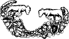 Sex: figure 12 from the 1928–1936 encyclopedia article
