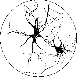 Axon: figure 1 from the 1928–1936 encyclopedia article