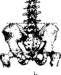 Lumbar Puncture: figure 1 from the 1928–1936 encyclopedia article