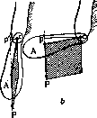 Equilibrium of the Body: figure 4 from the 1928–1936 encyclopedia article