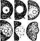 Microsurgery: figure 12 from the 1928–1936 encyclopedia article