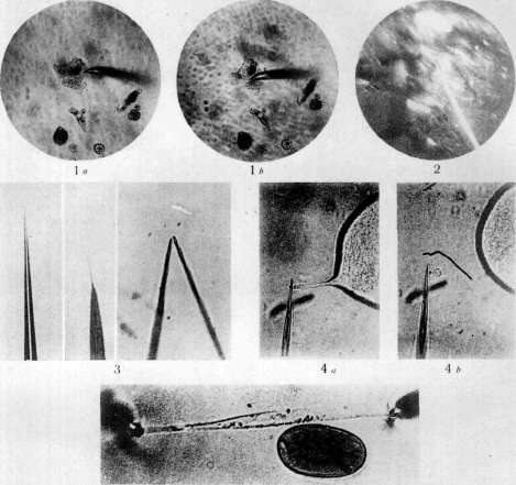 Microsurgery: figure 4 from the 1928–1936 encyclopedia article