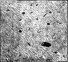 Biological Analysis: figure 1 from the 1928–1936 encyclopedia article