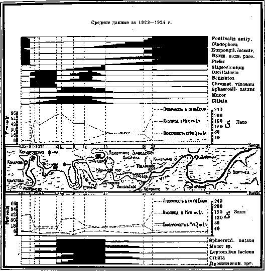 Biological Analysis: figure 3 from the 1928–1936 encyclopedia article