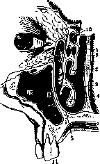 Slavyansky: figure 2 from the 1928–1936 encyclopedia article