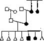 Mongolian Spots: figure 1 from the 1928–1936 encyclopedia article
