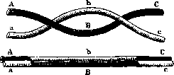 Chromosome Crossing-Over: figure 2 from the 1928–1936 encyclopedia article