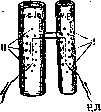 Eck Fistula: figure 2 from the 1928–1936 encyclopedia article