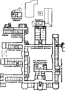 Maternity Hospital: figure 2 from the 1928–1936 encyclopedia article