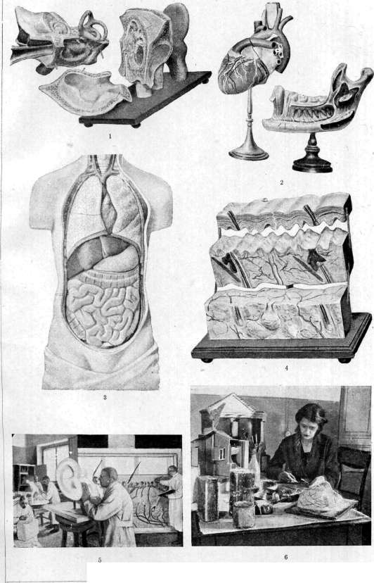 Visual Method (The term 'visual method' should be understood): figure 1 from the 1928–1936 encyclopedia article