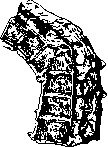Spine: figure 42 from the 1928–1936 encyclopedia article