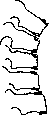 Spine: figure 29 from the 1928–1936 encyclopedia article