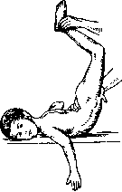 Spine: figure 22 from the 1928–1936 encyclopedia article