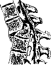 Spine: figure 43 from the 1928–1936 encyclopedia article