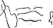 Spirochetes: figure 3 from the 1928–1936 encyclopedia article