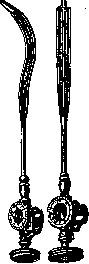 Plants: figure 1 from the 1928–1936 encyclopedia article