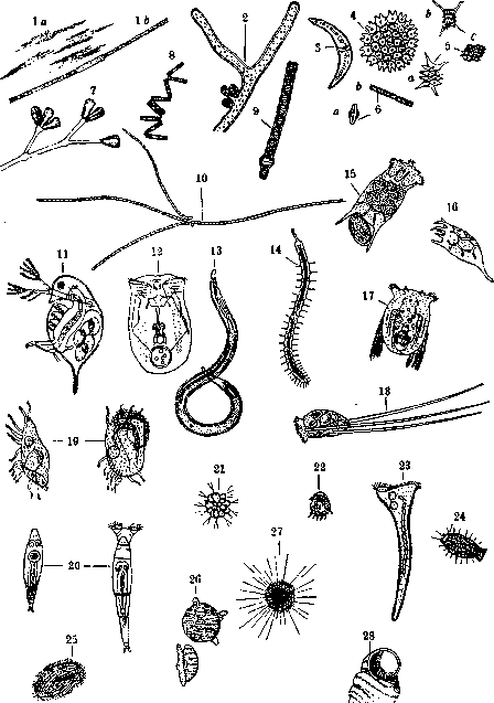 Biological Method of Sewage Treatment: figure 3 from the 1928–1936 encyclopedia article