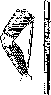 Orthopedic Appliances: figure 14 from the 1928–1936 encyclopedia article