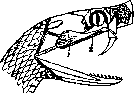 Snakes: figure 6 from the 1928–1936 encyclopedia article