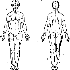 Meniere's Syndrome: figure 1 from the 1928–1936 encyclopedia article