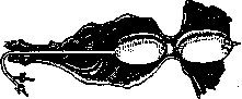 Cardiospasm: figure 2 from the 1928–1936 encyclopedia article