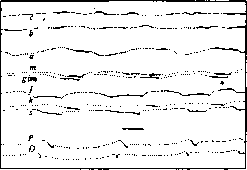 Biomechanics: figure 4 from the 1928–1936 encyclopedia article