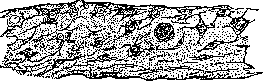 Joints: figure 22 from the 1928–1936 encyclopedia article