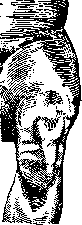 Joints: figure 28 from the 1928–1936 encyclopedia article
