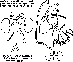 Respiration: figure 1 from the 1928–1936 encyclopedia article