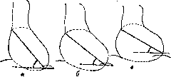Heart: figure 27 from the 1928–1936 encyclopedia article
