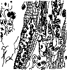 Heart: figure 29 from the 1928–1936 encyclopedia article